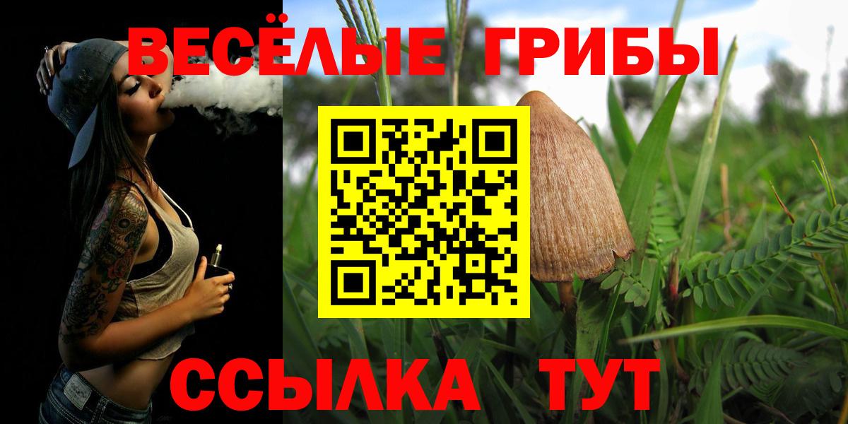 Галлюциногенные грибы мицелий Сафоново
